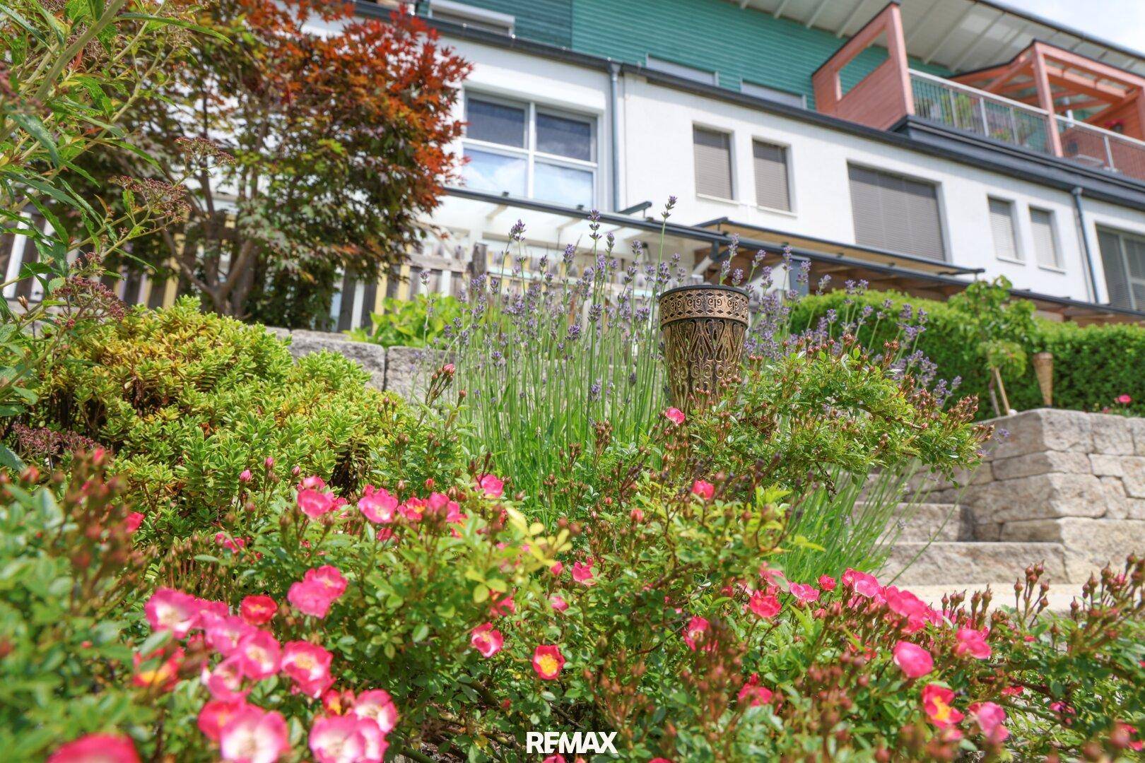 Blühender Vorgarten mit Rosen und Lavendel vor der modernen Fassade eines Wohnhauses mit Balkonen.