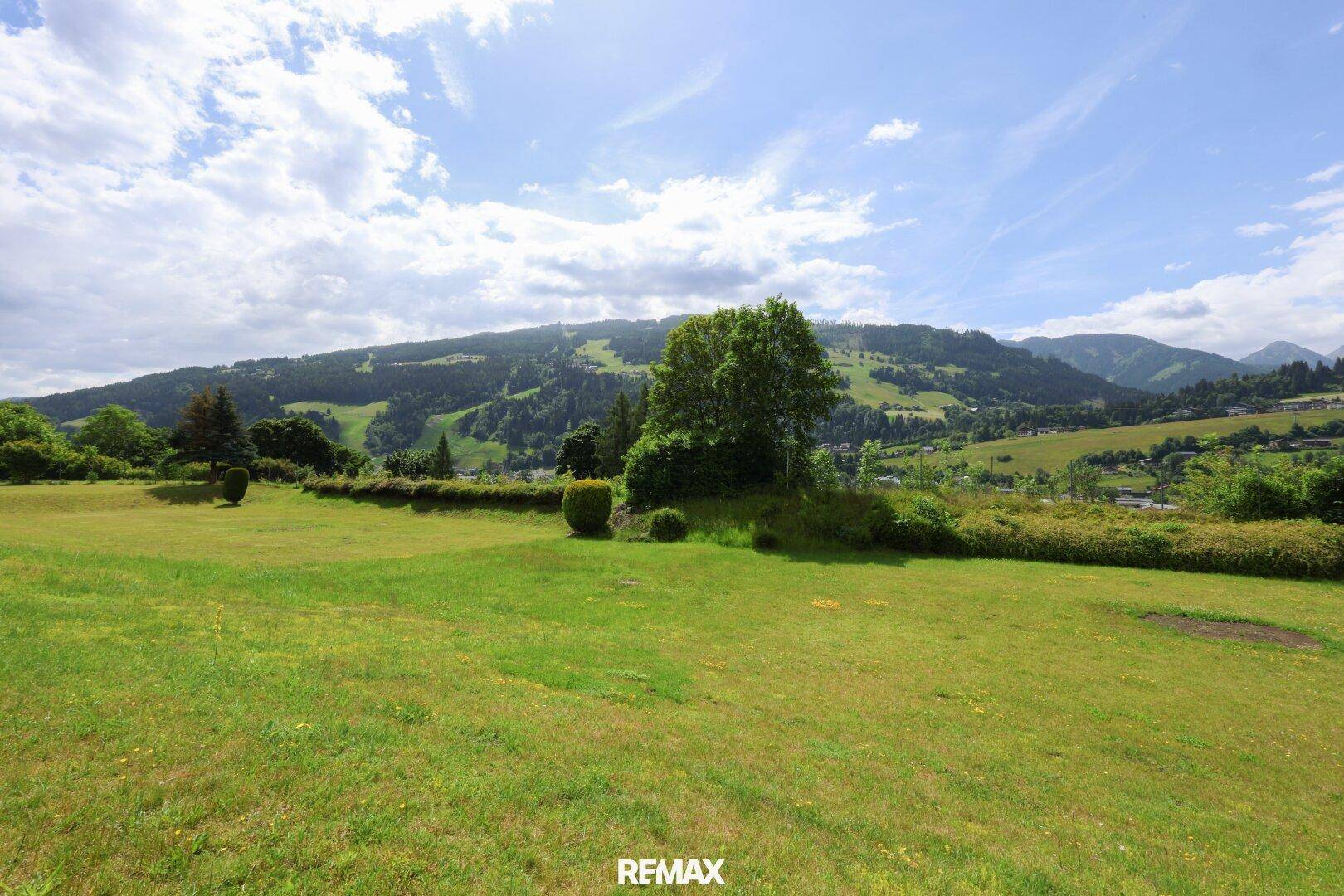 Weitläufige grüne Wiesenlandschaft unter blauem Himmel mit majestätischen Bergen im Hintergrund.