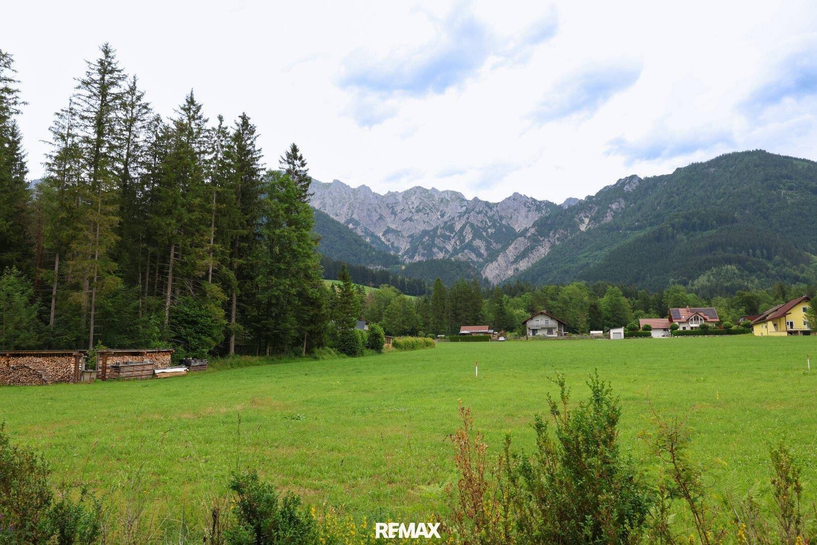 Weitläufige grüne Landschaft mit Bergen und Wäldern im Hintergrund, umgeben von Natur.
