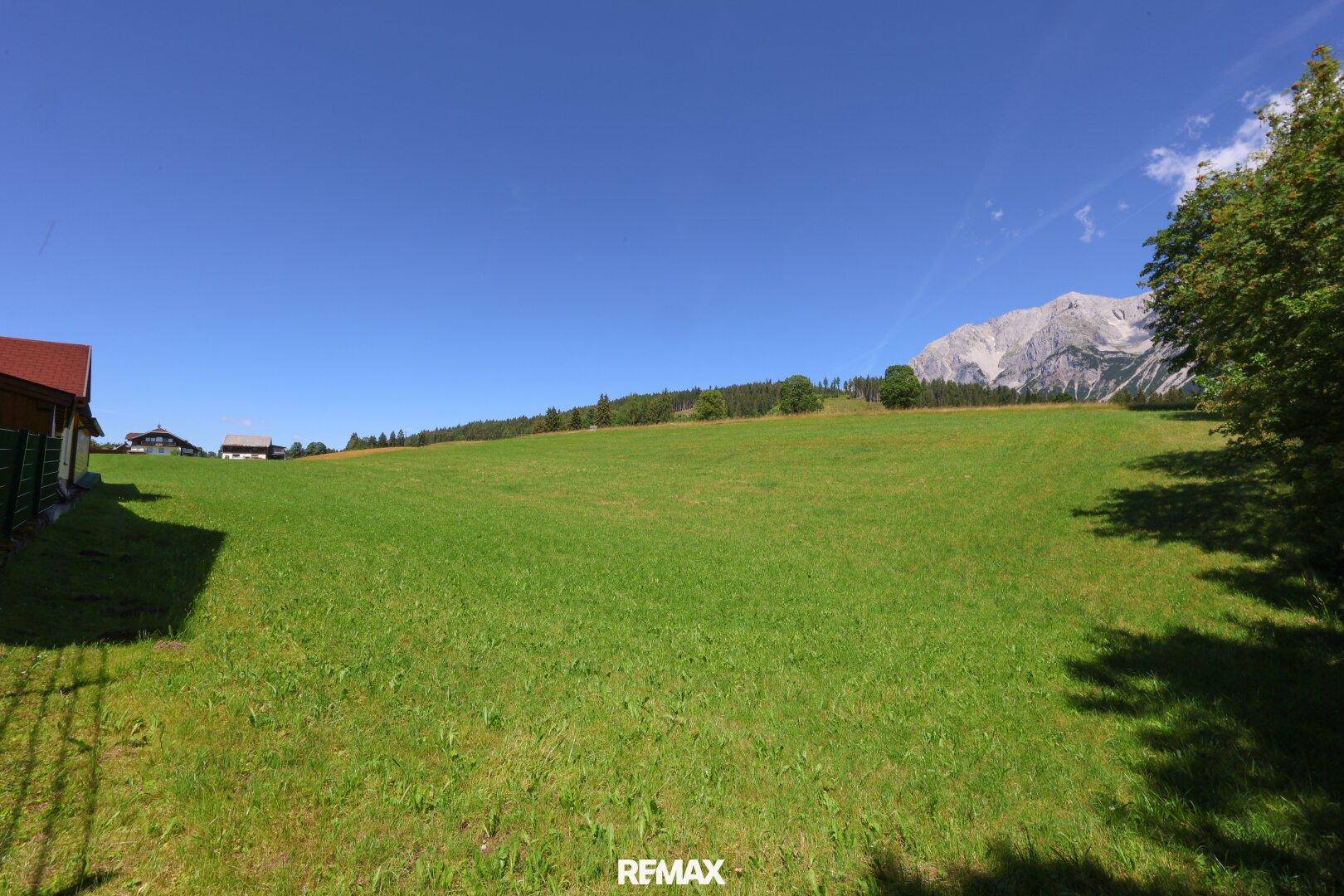 Idyllische grüne Landschaft mit weiten Wiesen und imposantem Bergpanorama unter strahlend blauem Himmel.