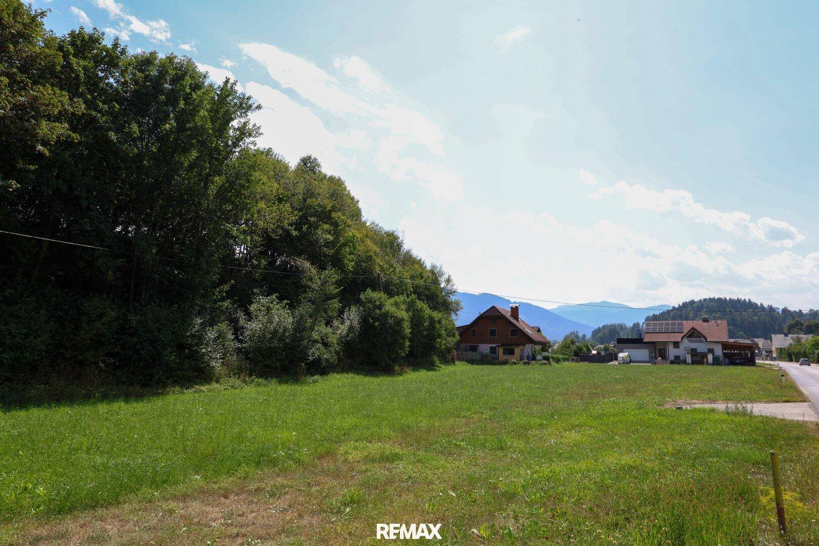 Sonniges Wiesengrundstück mit angrenzendem Waldrand und traditionellen Häusern in der Ferne, umgeben von Natur.