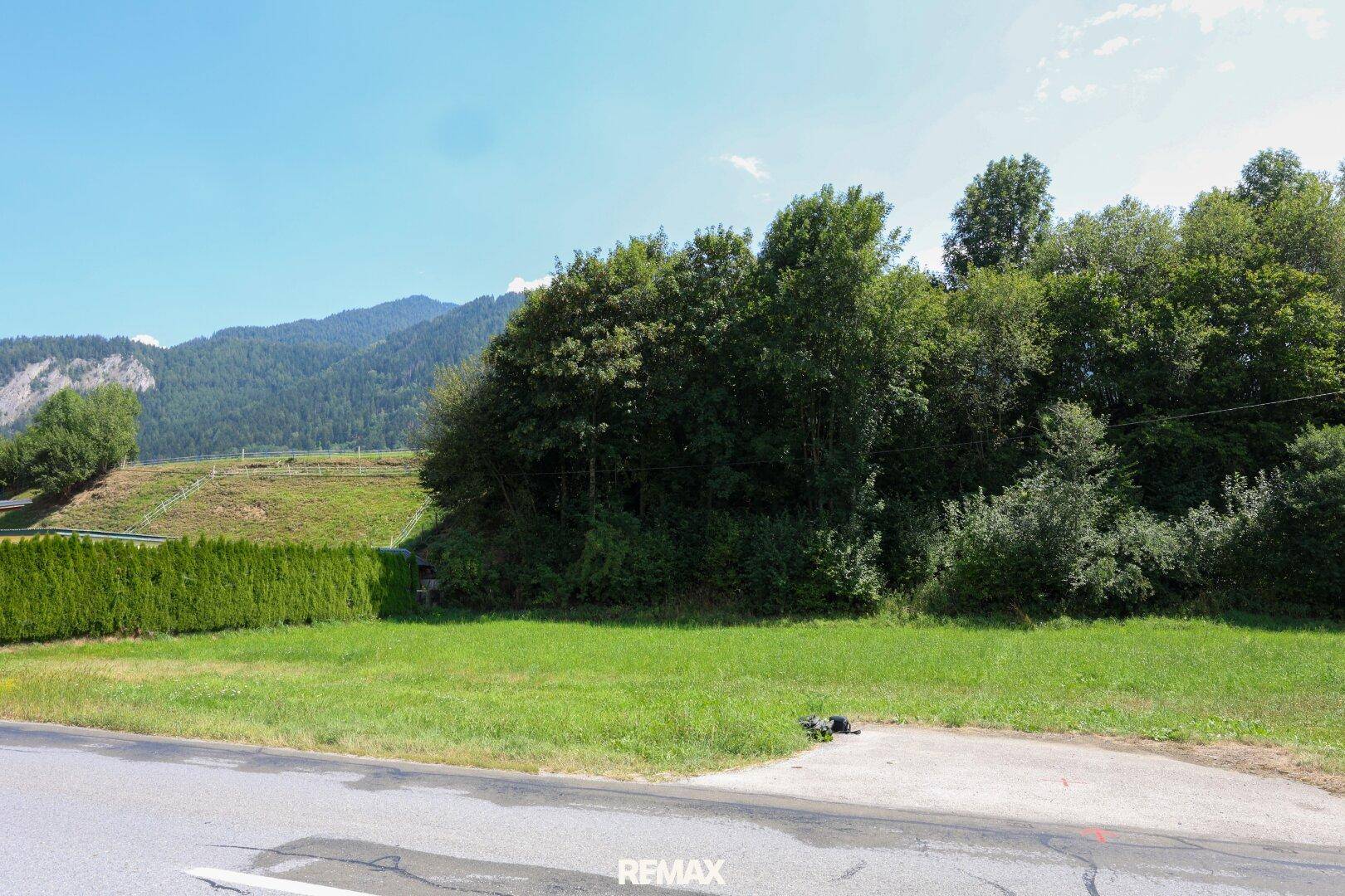 Grünes Grundstück mit einer hohen Hecke und dichtem Baumbestand, umgeben von einer Berglandschaft.