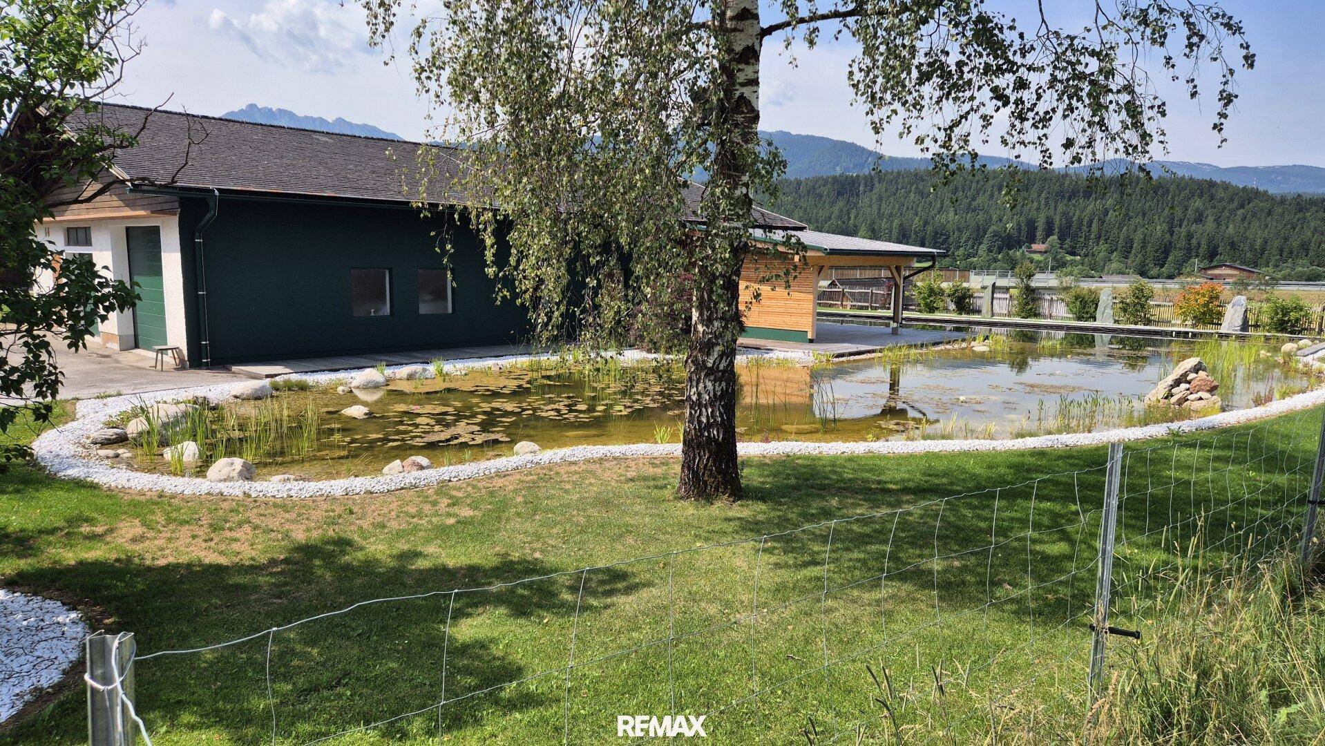 Großer Gartenbereich mit natürlichem Teich und üppiger Vegetation, umgeben von Bergen.