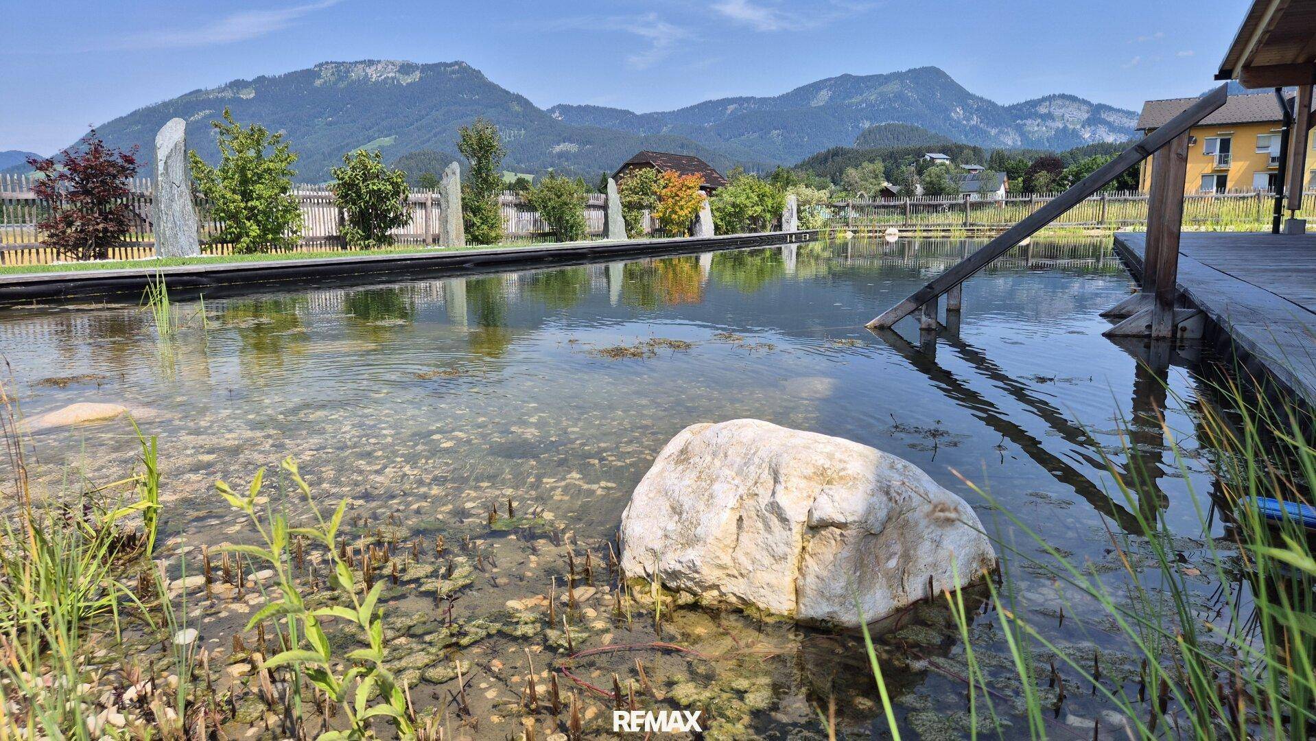 Natürlicher Schwimmteich mit Holzsteg und Steinen, eingebettet in eine malerische Berglandschaft.
