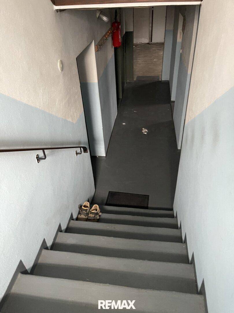 Treppenabgang in den Kellerbereich mit robustem Boden und schlichten Wänden.