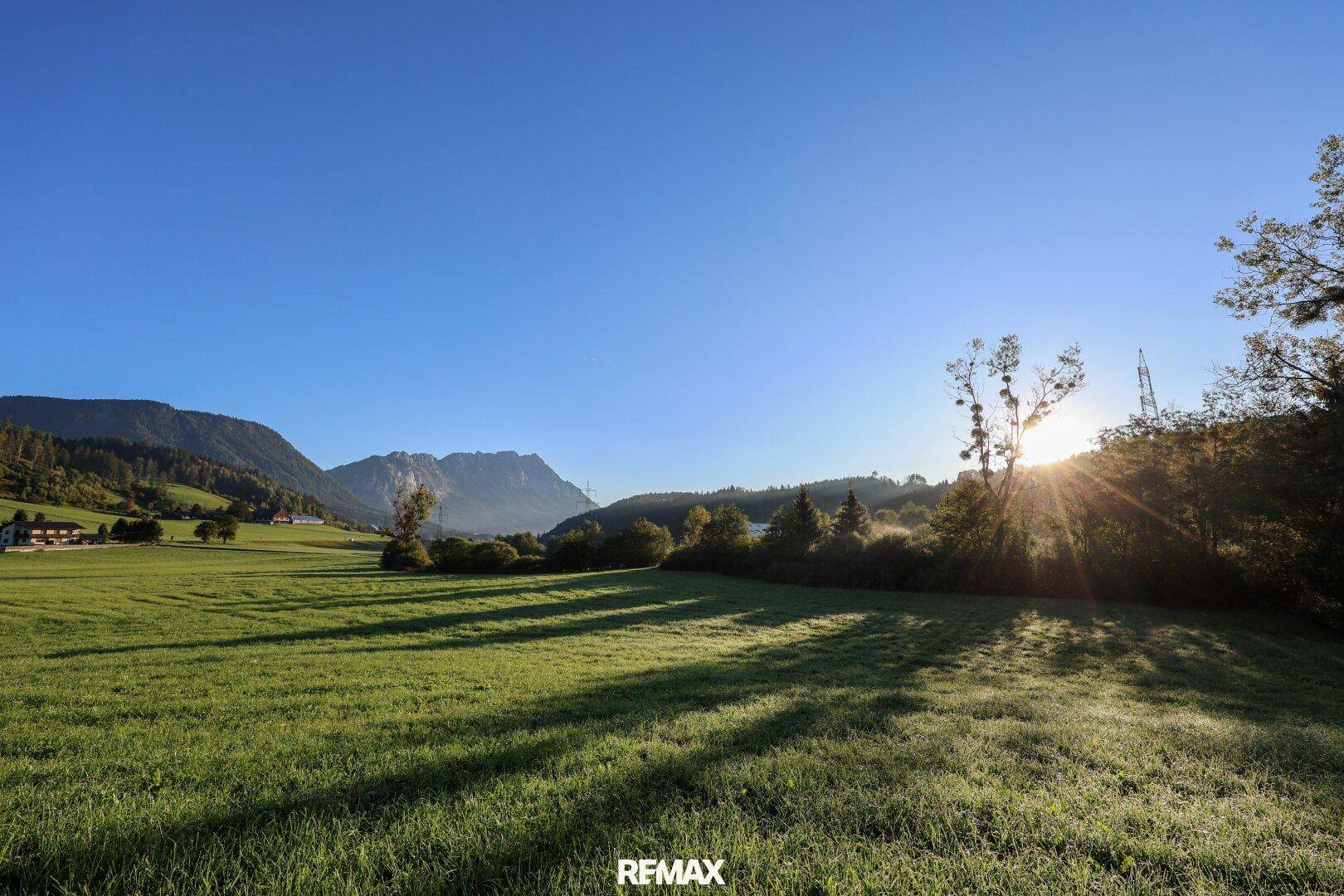 Weitläufige grüne Wiesenlandschaft mit Bergen im Hintergrund und strahlendem Sonnenschein.