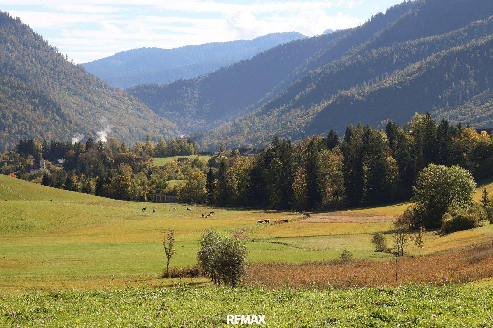 Idyllische Landschaft mit sanften Hügeln, grünen Wiesen und bewaldeten Bergen unter blauem Himmel.