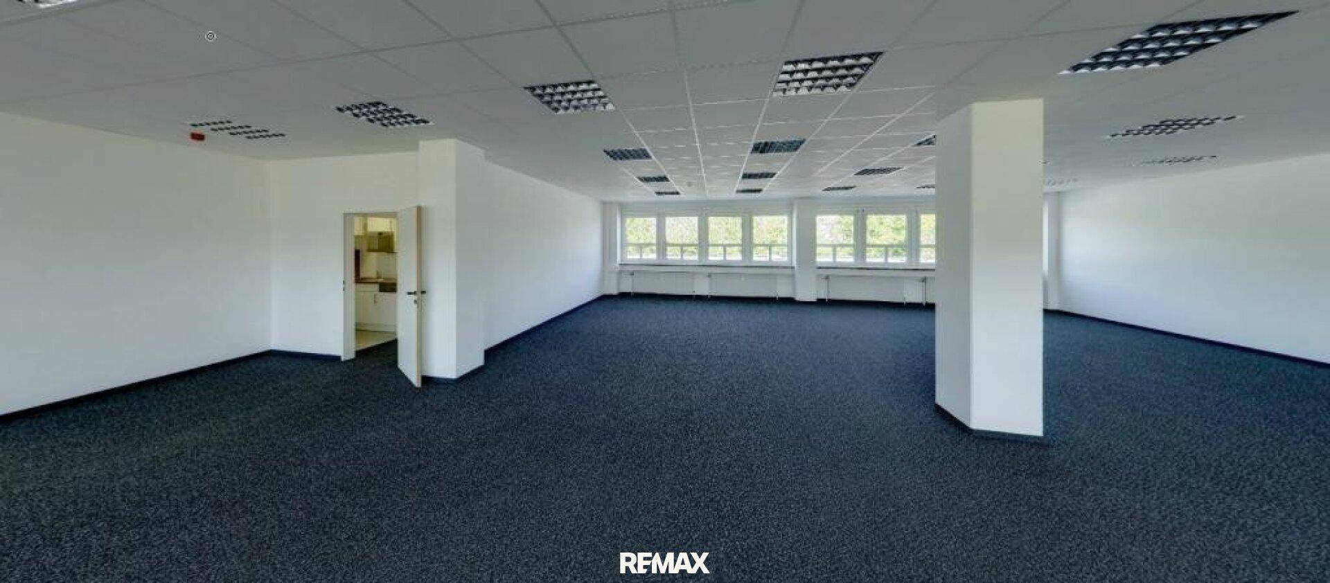 Geräumiges, leeres Büro mit dunklem Teppichboden, vielen Fenstern und einer abgehängten Decke.