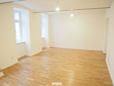 1-Zimmer-Studio mit Terrasse, 48 m², Alsergrund, Alsergrund