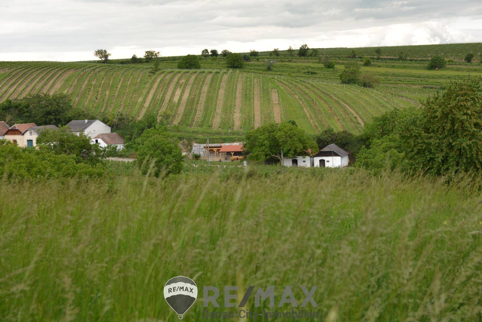 06. Weinkeller 2014 Mailberg - Ausblick