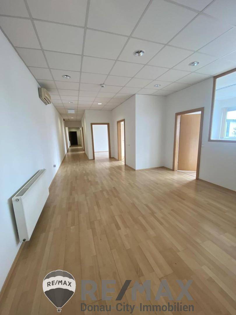 Langer Bürogang mit hellem Holzboden, weißen Wänden und mehreren Türen zu den Büros.