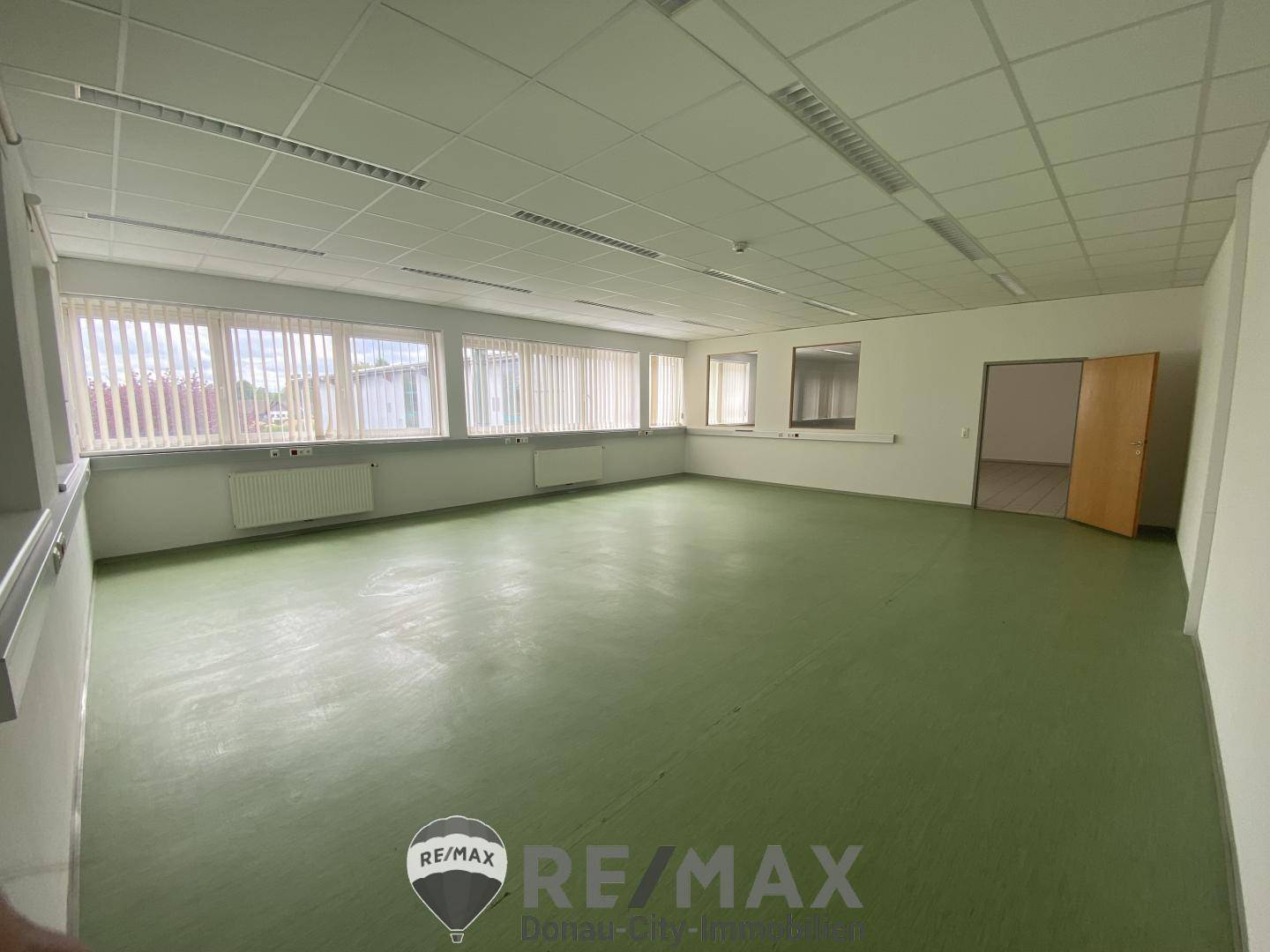 Geräumiges Büro mit grünem Bodenbelag und einer langen Fensterfront, die viel Tageslicht hereinlässt.