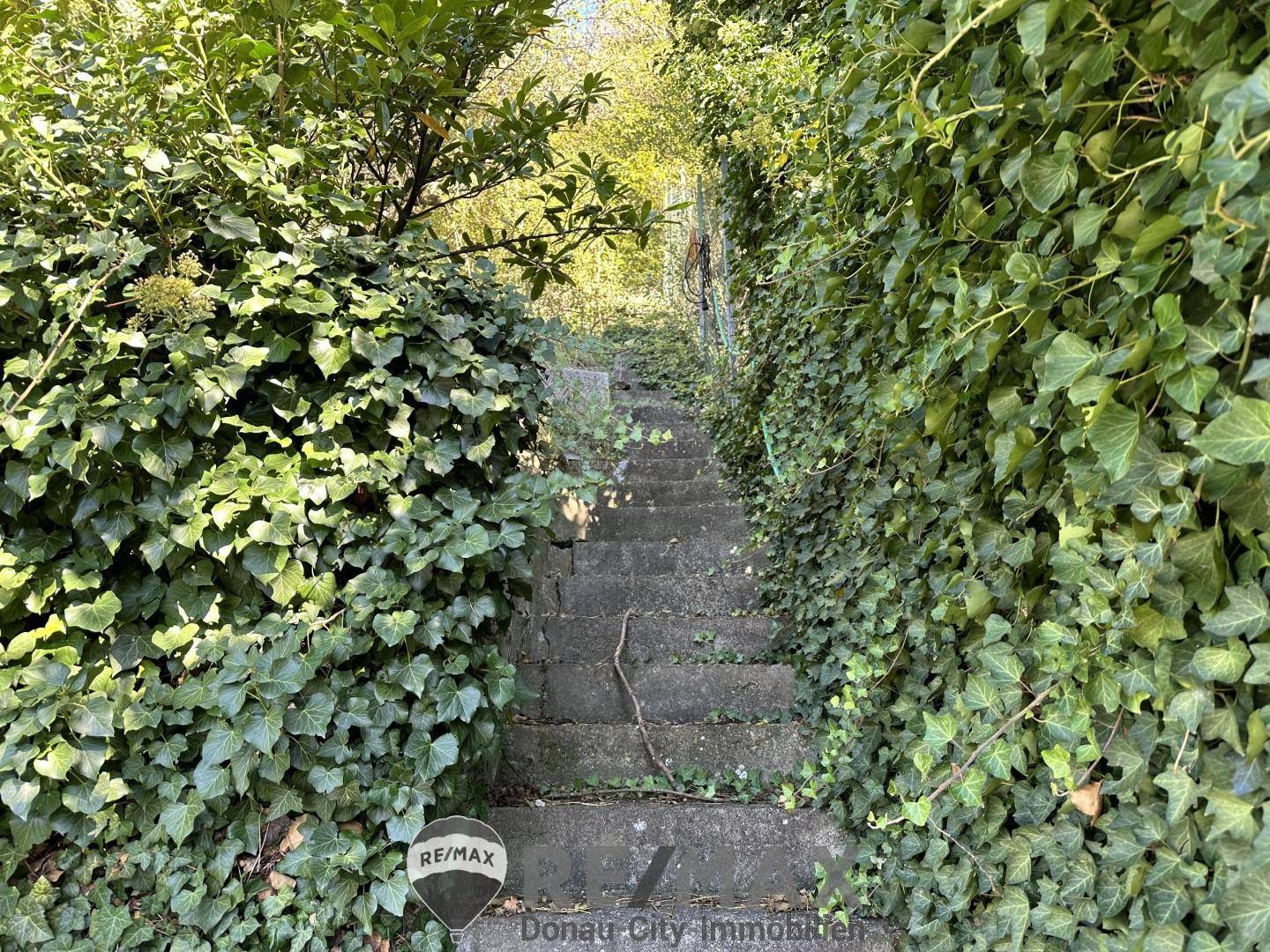 Treppen in die Obstgärten