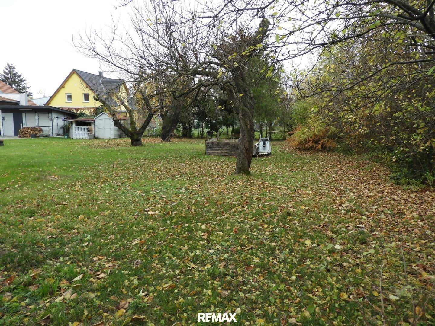 Gartenansicht mit Rasen, Bäumen und herabgefallenem Laub, umgeben von weiteren Wohnhäusern.