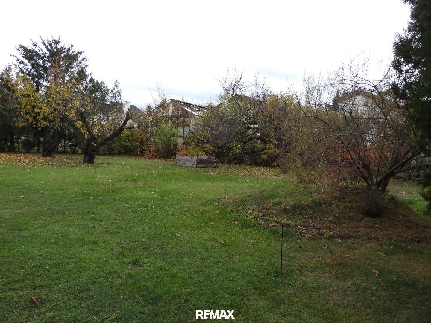 Ausgedehnter Garten mit Rasenfläche, alten Bäumen und herbstlichem Laub, das den Boden bedeckt.