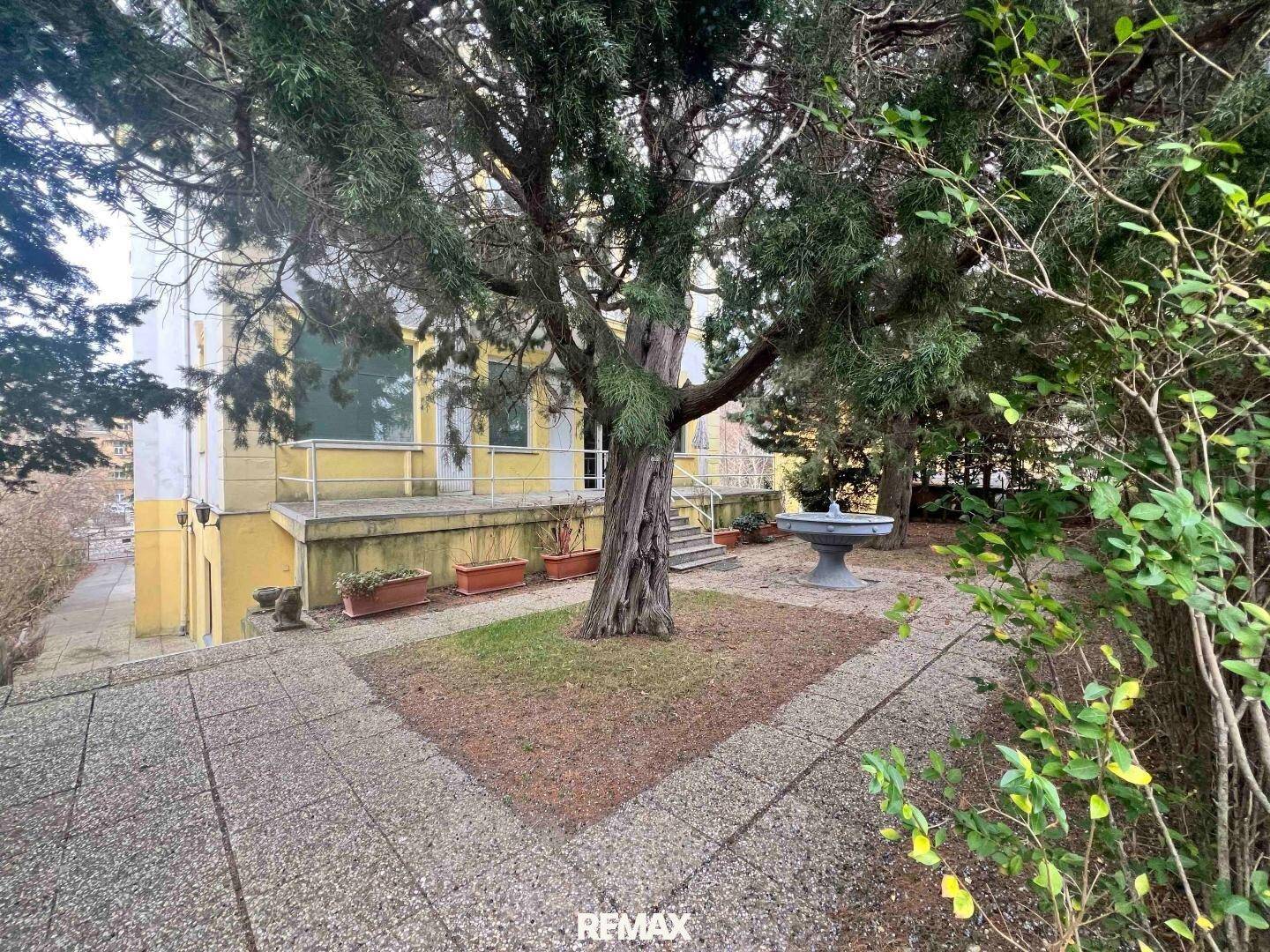 Gepflasterter Gartenbereich mit einem großen Baum und einem dekorativen Brunnen im Hintergrund.