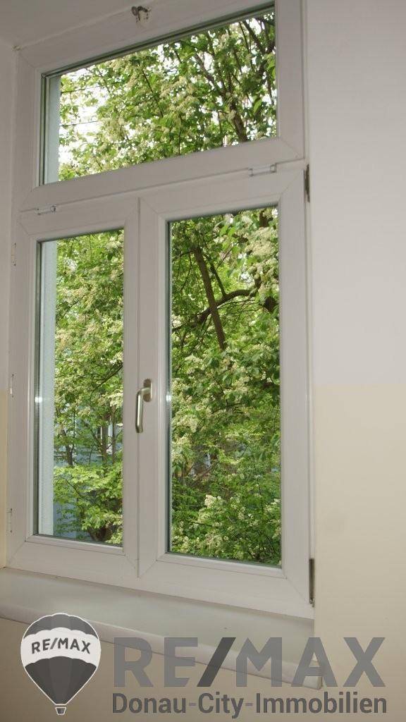19 Grünblick 1130