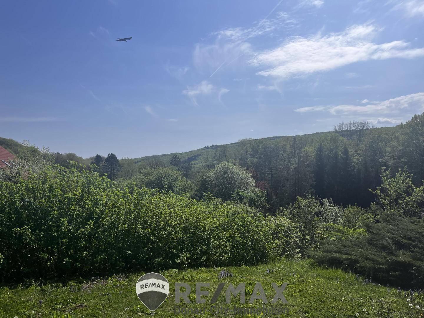 26 Ausblick-Garten