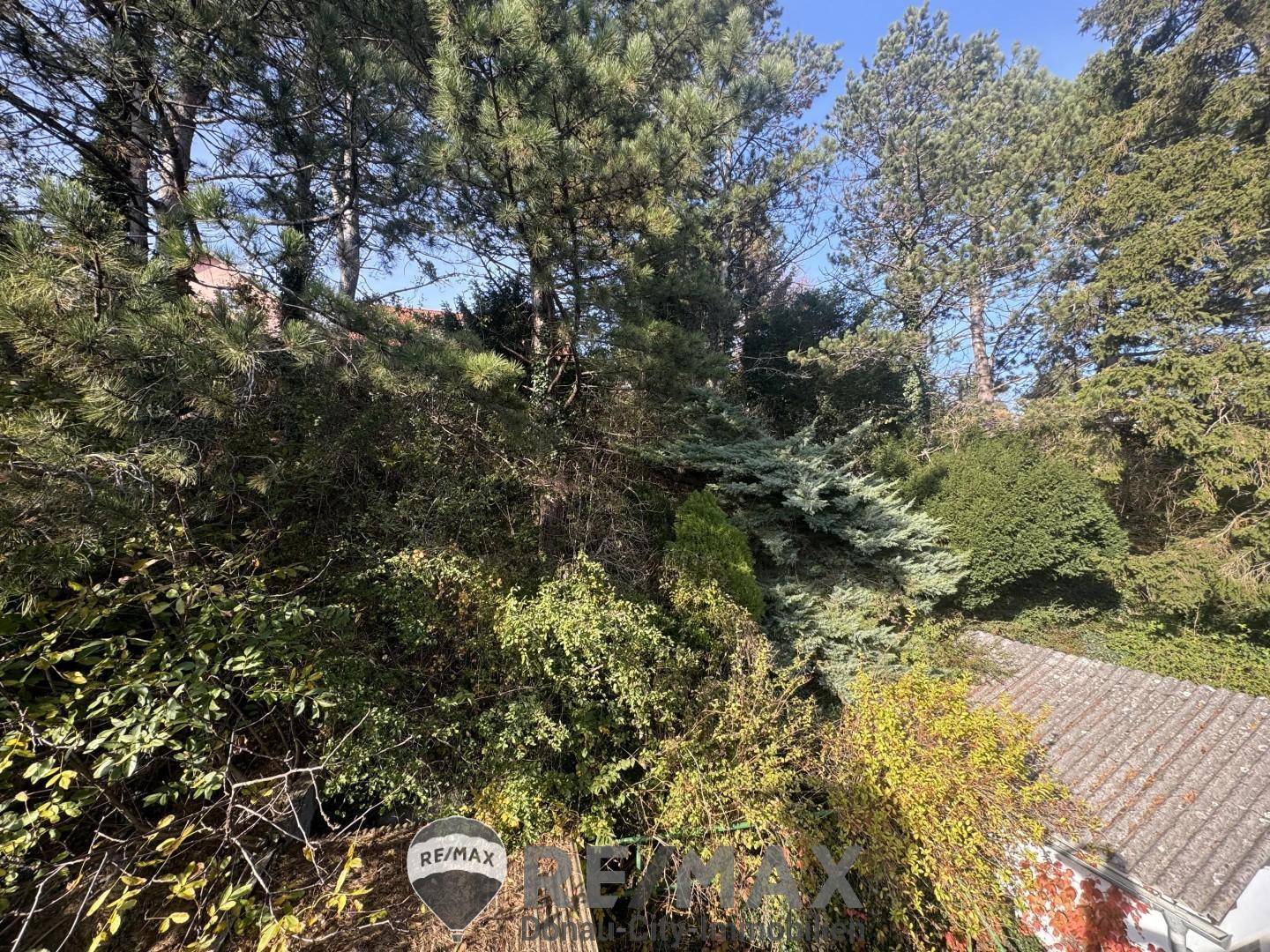 10 Baugrund in Katzelsdorf