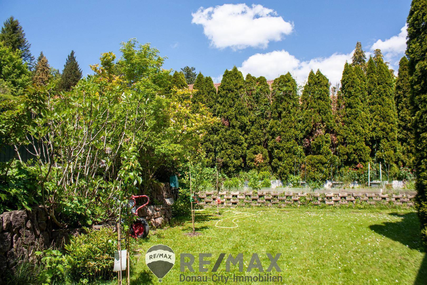 Gartenimpressionen 2
