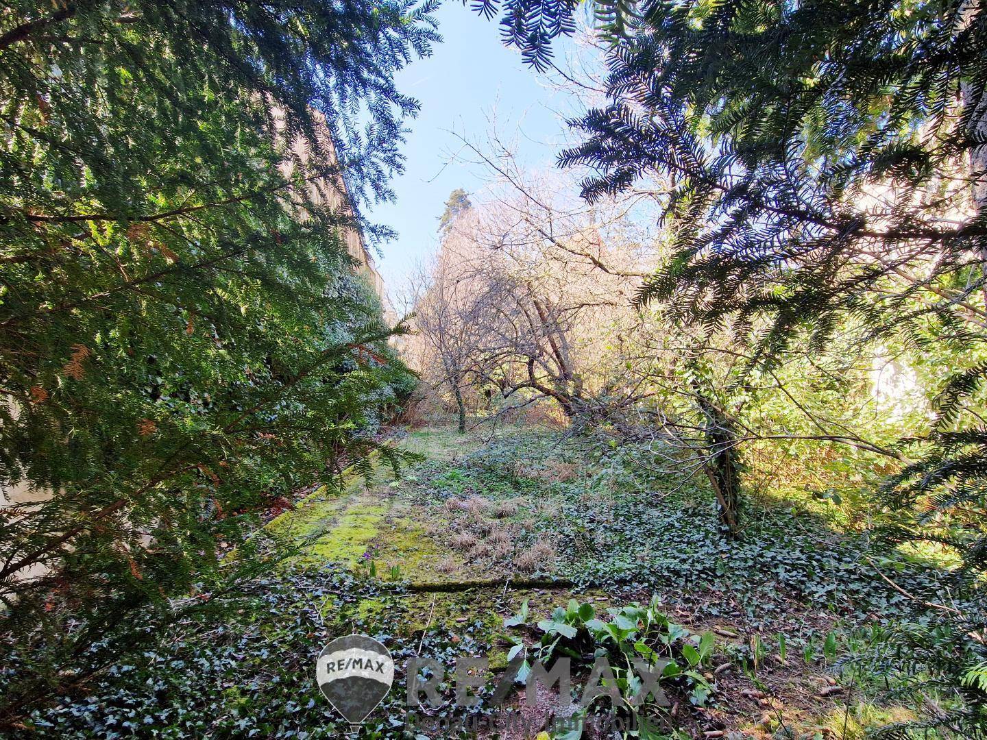 07.Gartenfläche