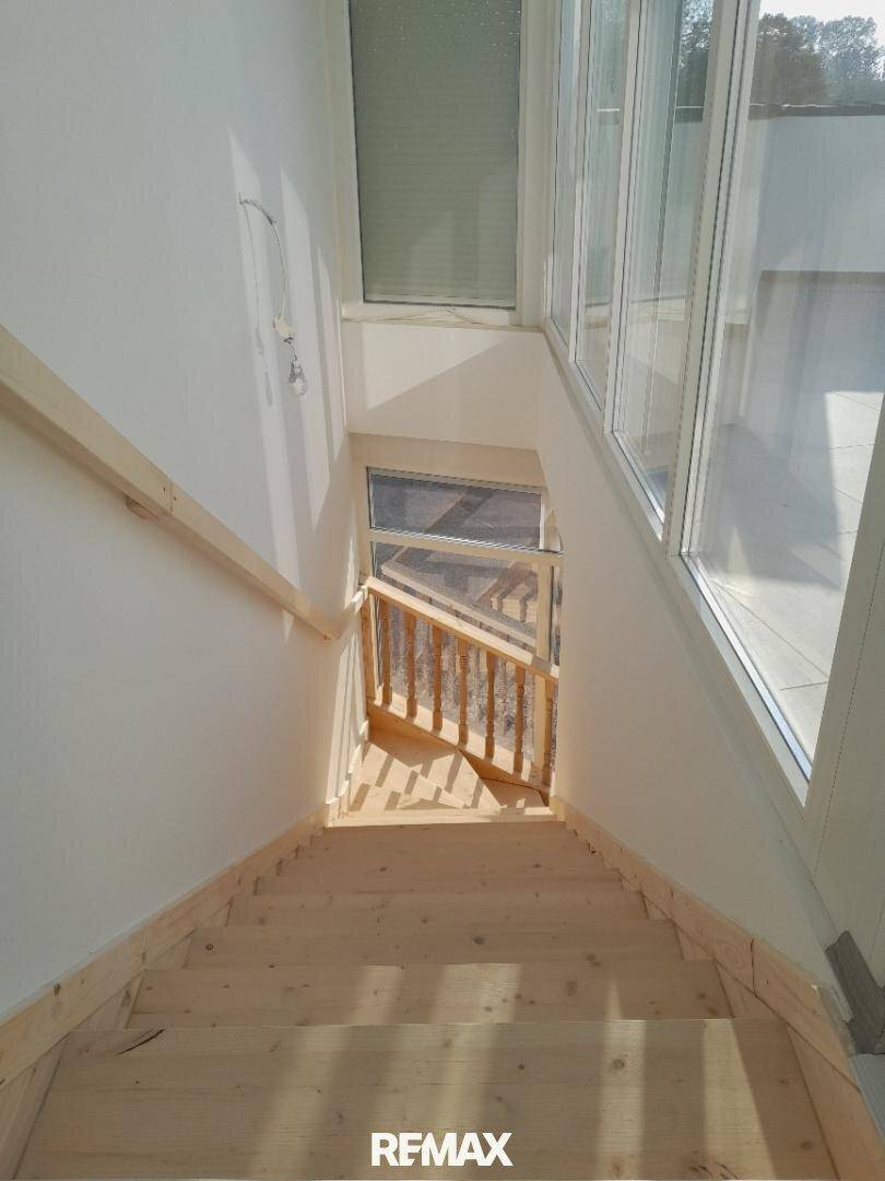 Helles Treppenhaus mit Holzstufen und großen Fenstern, die den Bereich mit Licht durchfluten.