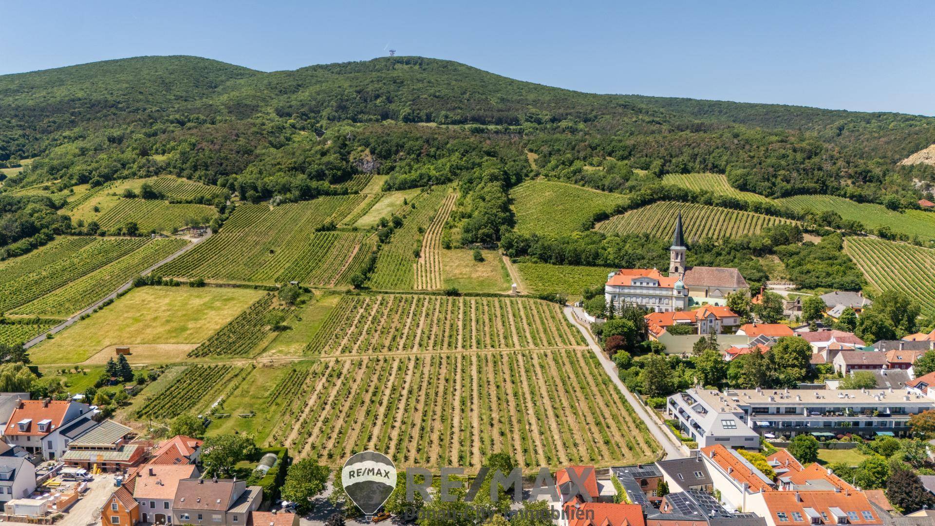 Weinberge