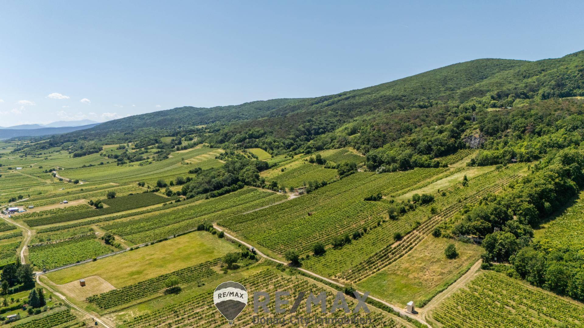 Weinberge rundum