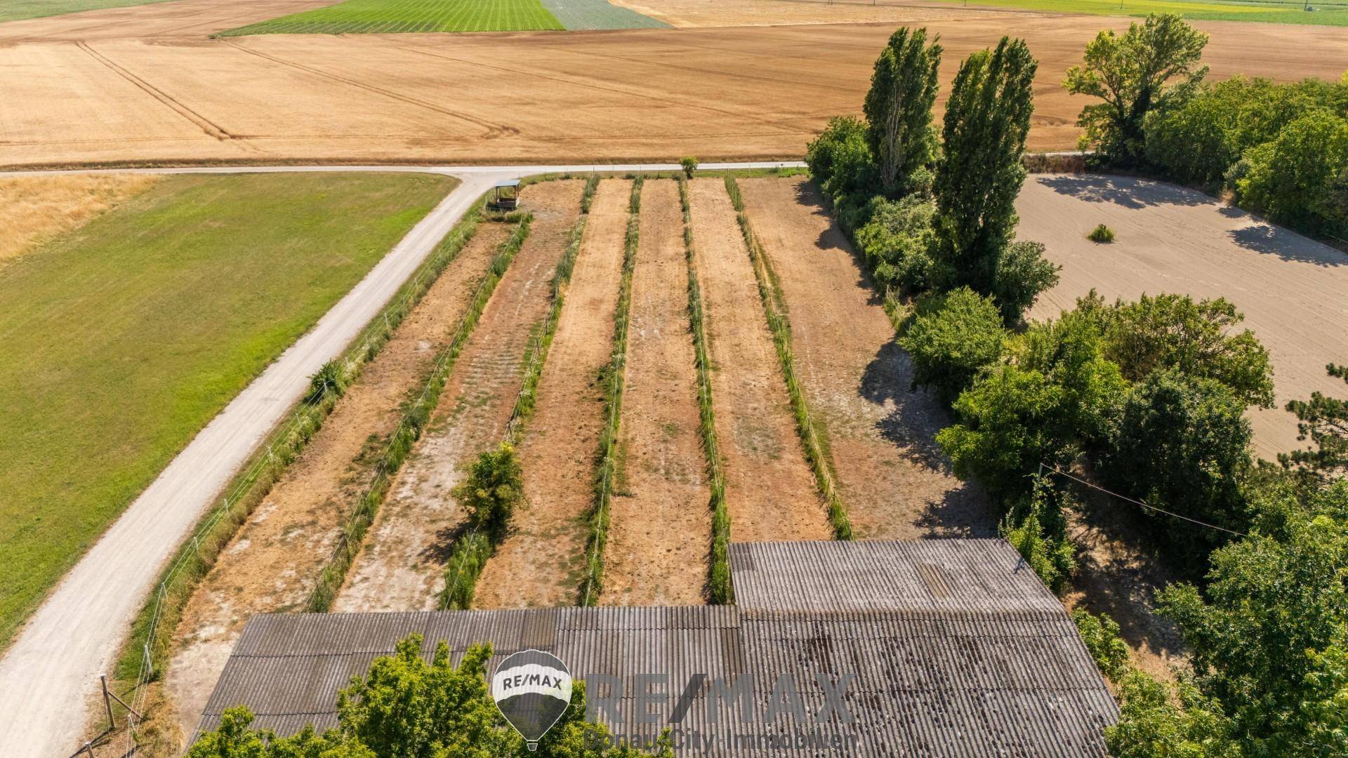 Reithof 2301 Andlersdorf