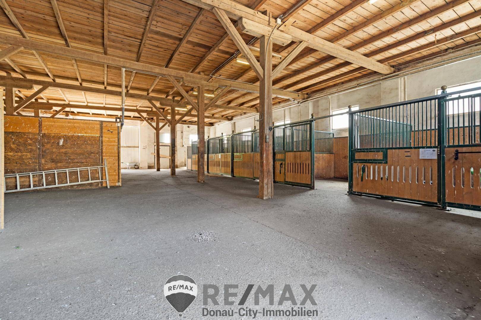 Reithof 2301 Andlersdorf