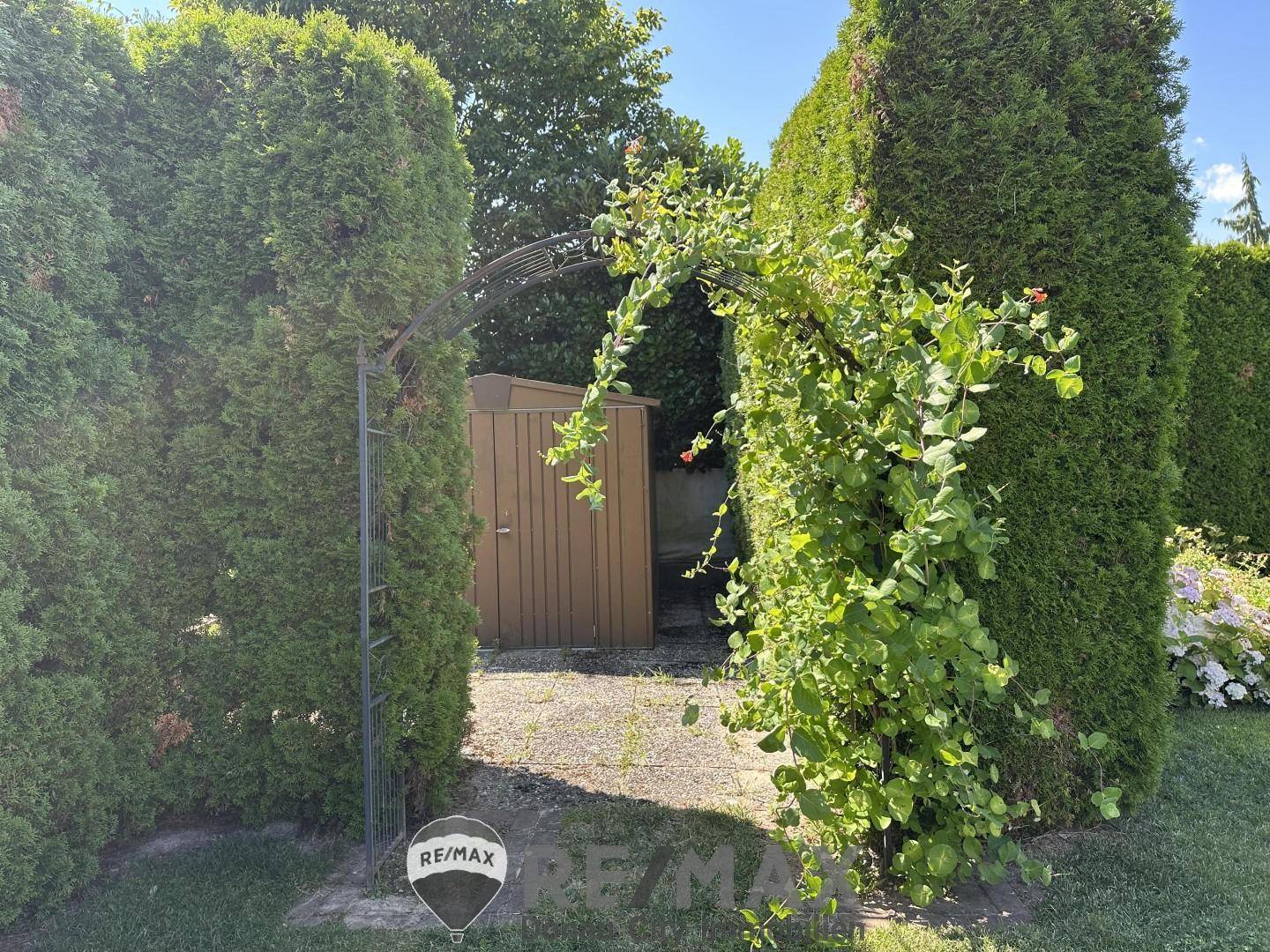 38 Garten
