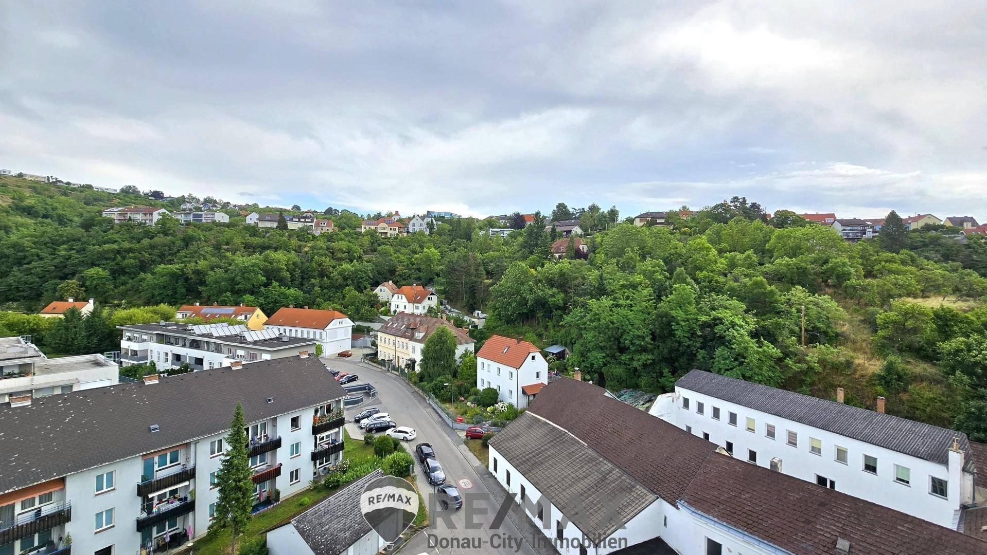 Ausensicht