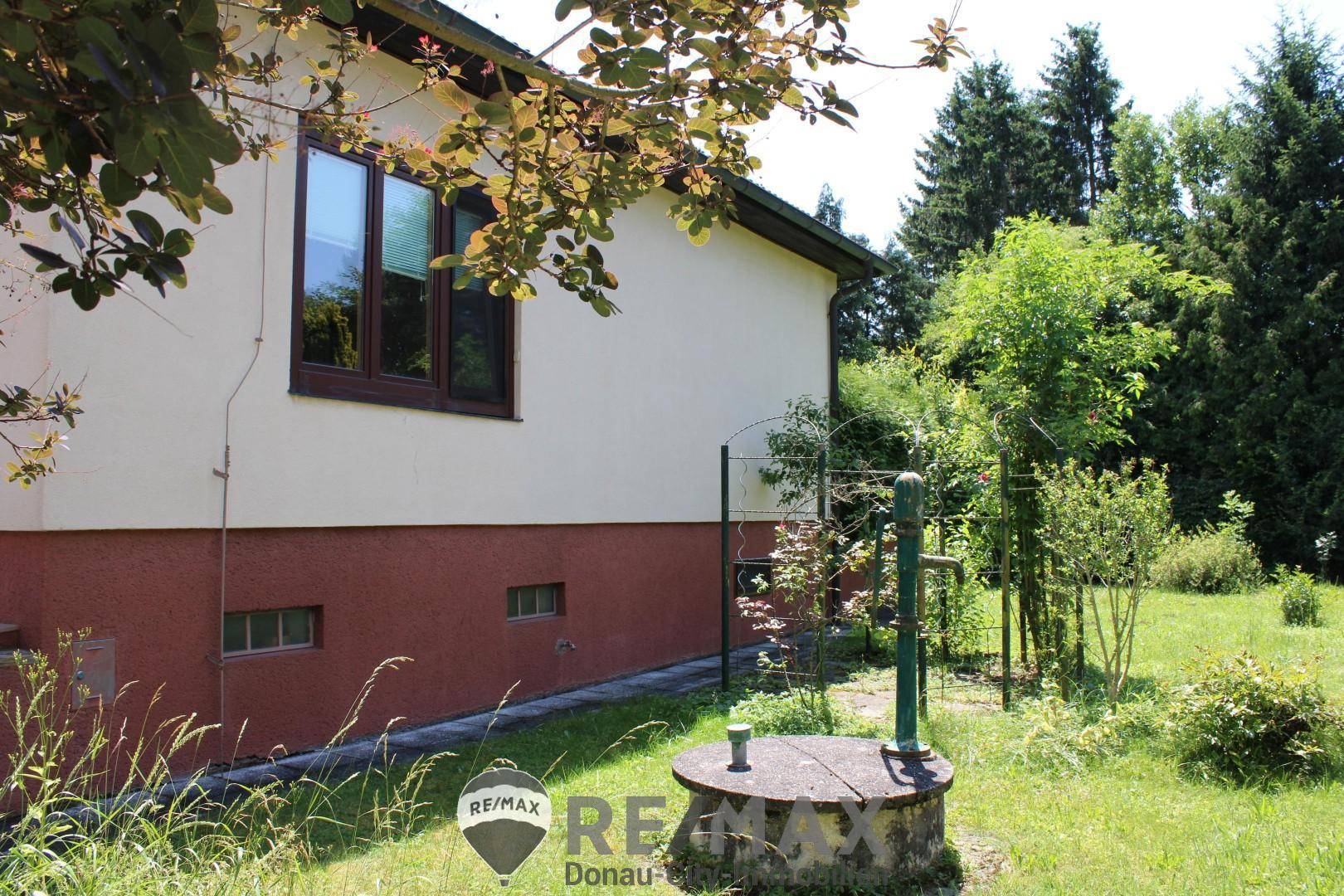 Garten_5