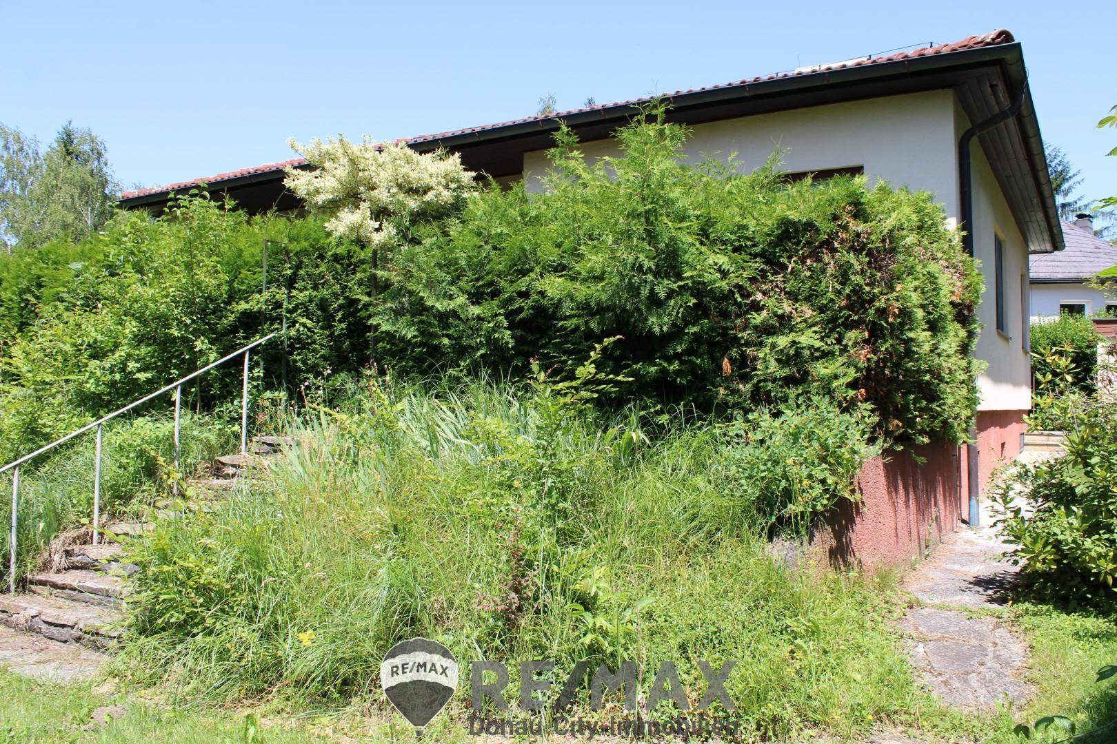 Garten_3