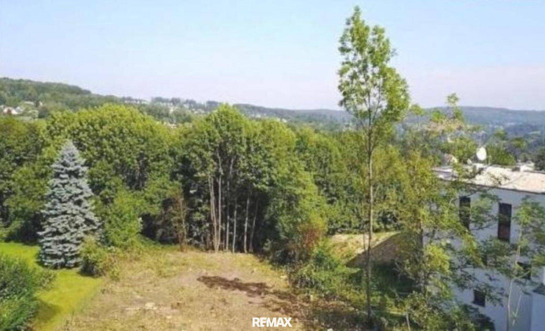 Gerodetes Grundstück mit Baumbestand und einem Gebäude im Hintergrund, mit Fernblick auf Hügel.