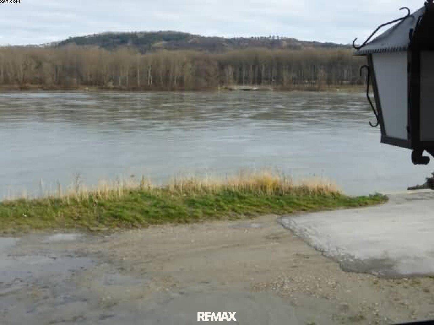 Blick auf die Donau mit bewaldeten Hügeln im Hintergrund und einem Uferstreifen mit Gras und Schotter.