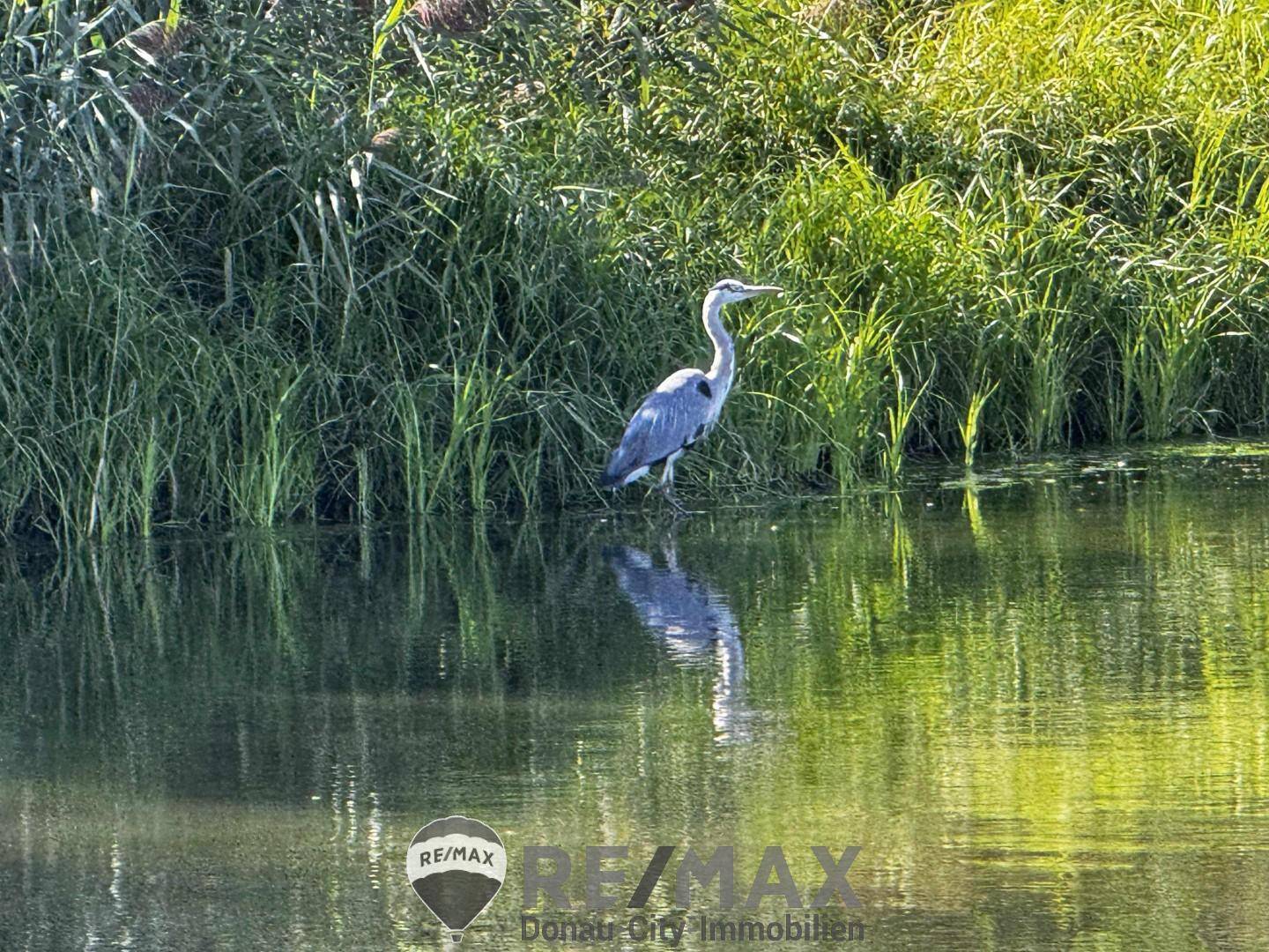 Erholungsgebiet Donauarm-Donau