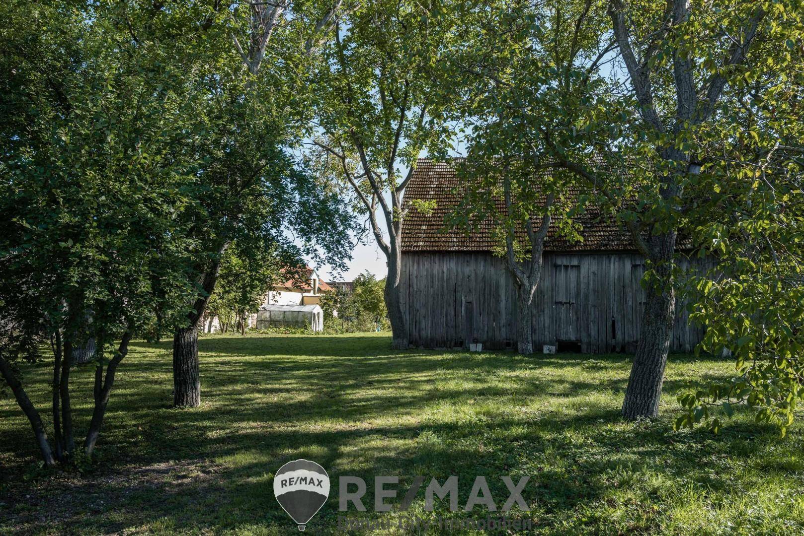 Haupthaus - Garten