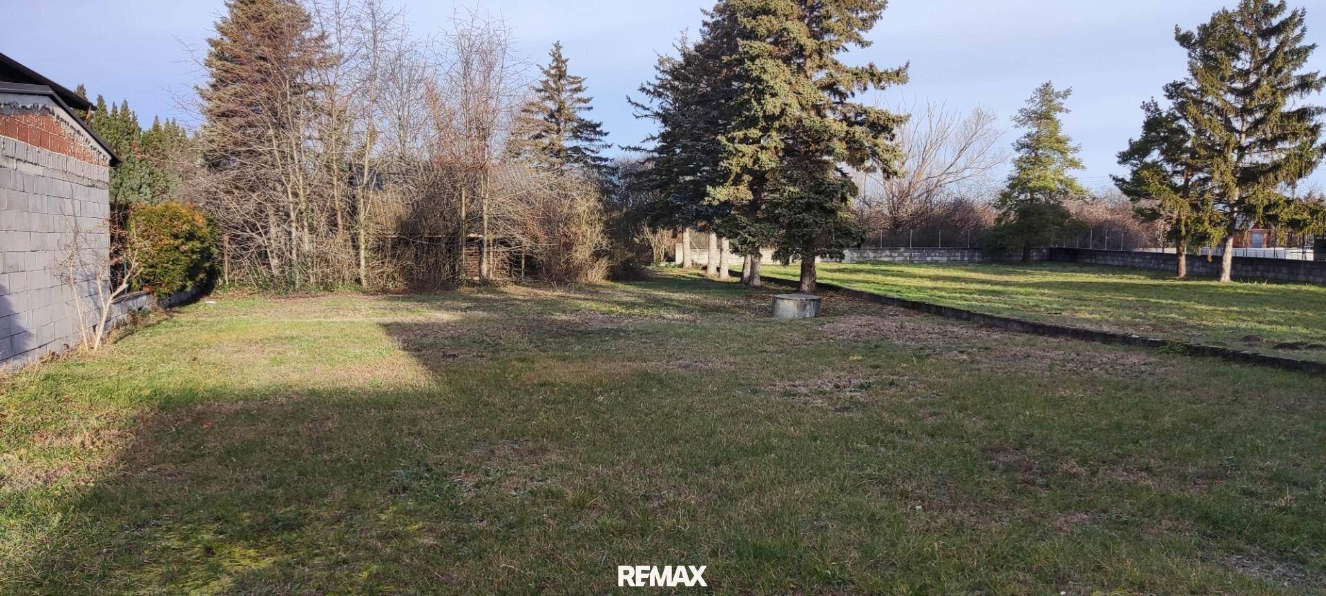 Weitläufige Grünfläche mit Rasen und Bäumen, ideal für einen großen Garten.