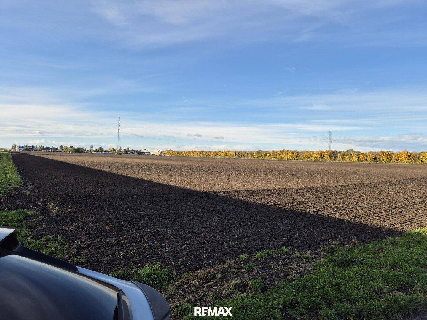 Weitläufiges Ackerland unter blauem Himmel, mit einem dunklen Fahrzeug im Vordergrund und natürlichem Licht.