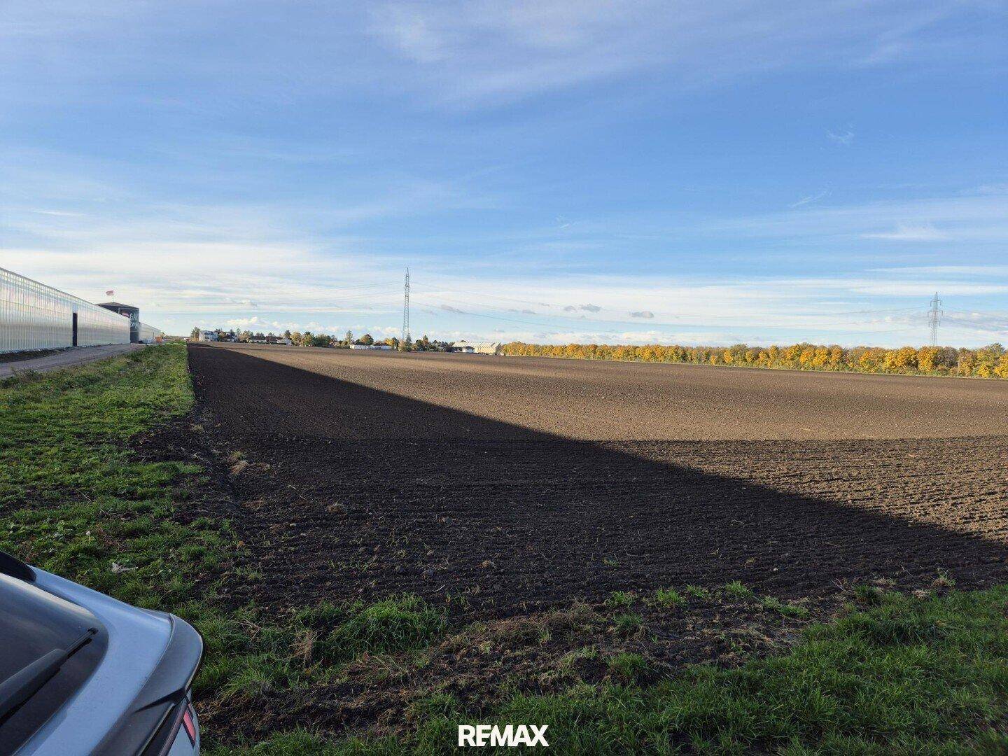 Gepflügtes Feld mit Gewächshäusern im Hintergrund und einem Auto am linken Bildrand unter blauem Himmel.