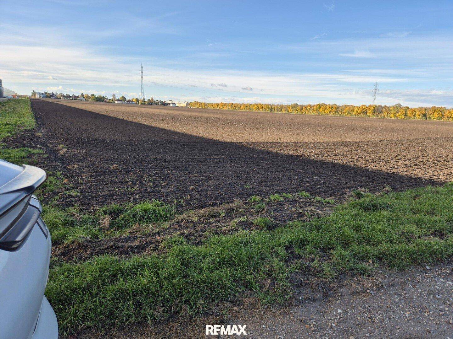 Weites Feld mit frischem Gras im Vordergrund und einem Teil eines weißen Autos am Bildrand unter blauem Himmel.