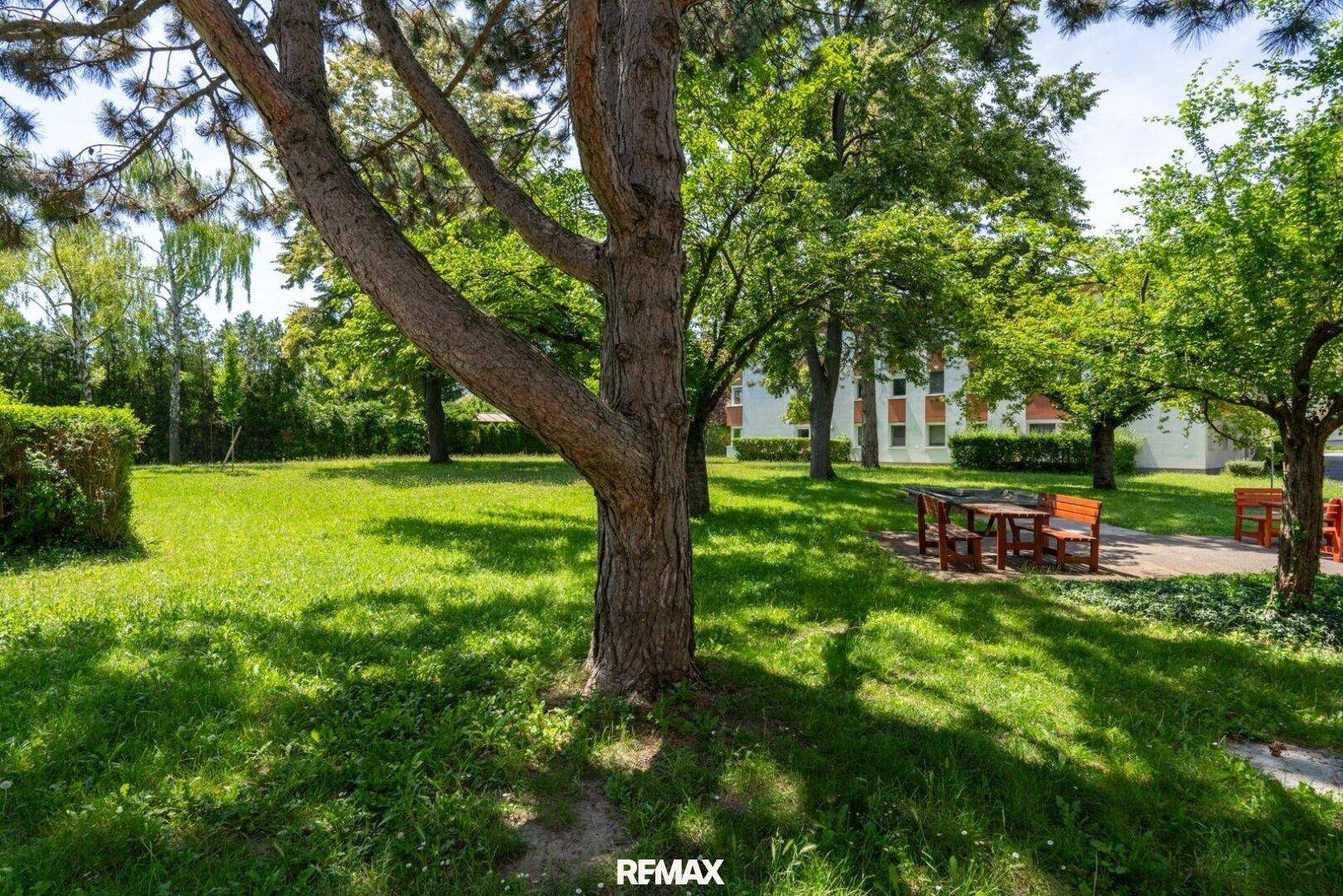 Weitläufige Rasenfläche im Gemeinschaftsgarten mit schattenspendenden Bäumen, sehr idyllisch.