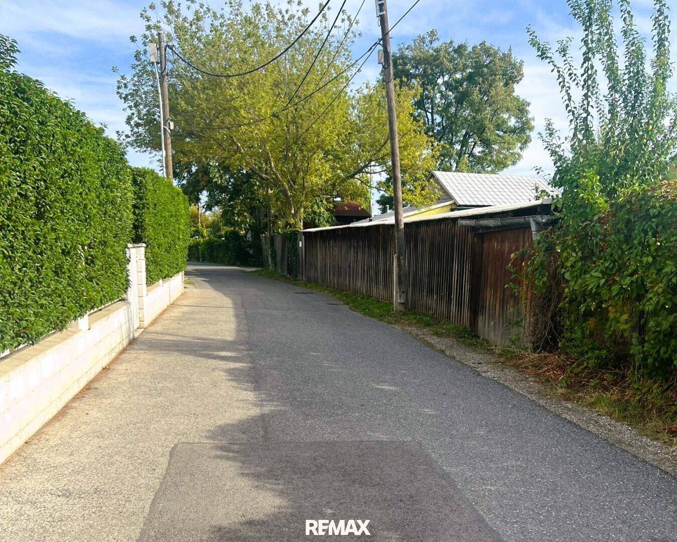 Schmale Wohnstraße oder Weg, gesäumt von hohen Hecken und Bäumen.