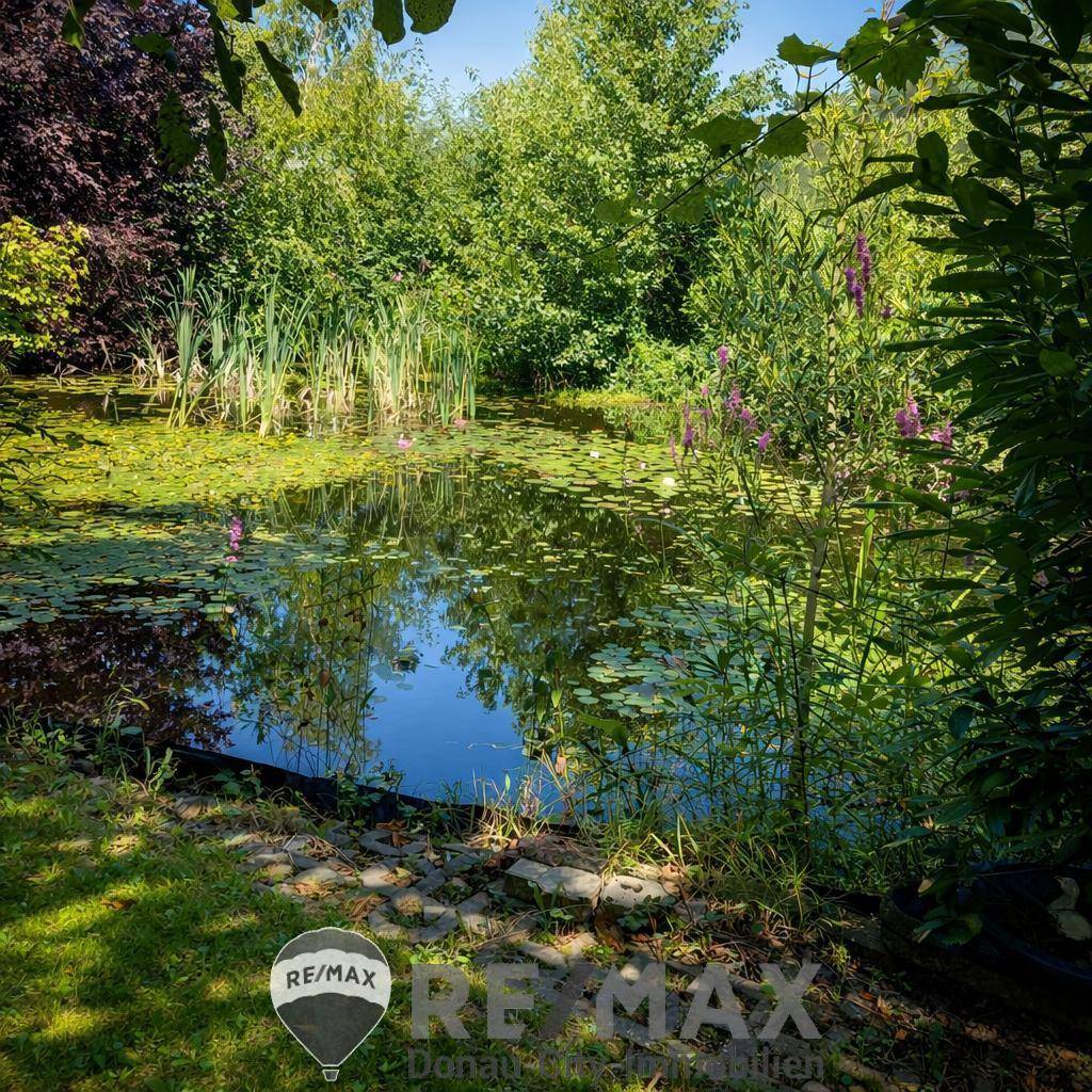 Ruhiger Gartenteich mit Seerosen und üppiger Vegetation, umgeben von Bäumen und Sträuchern.