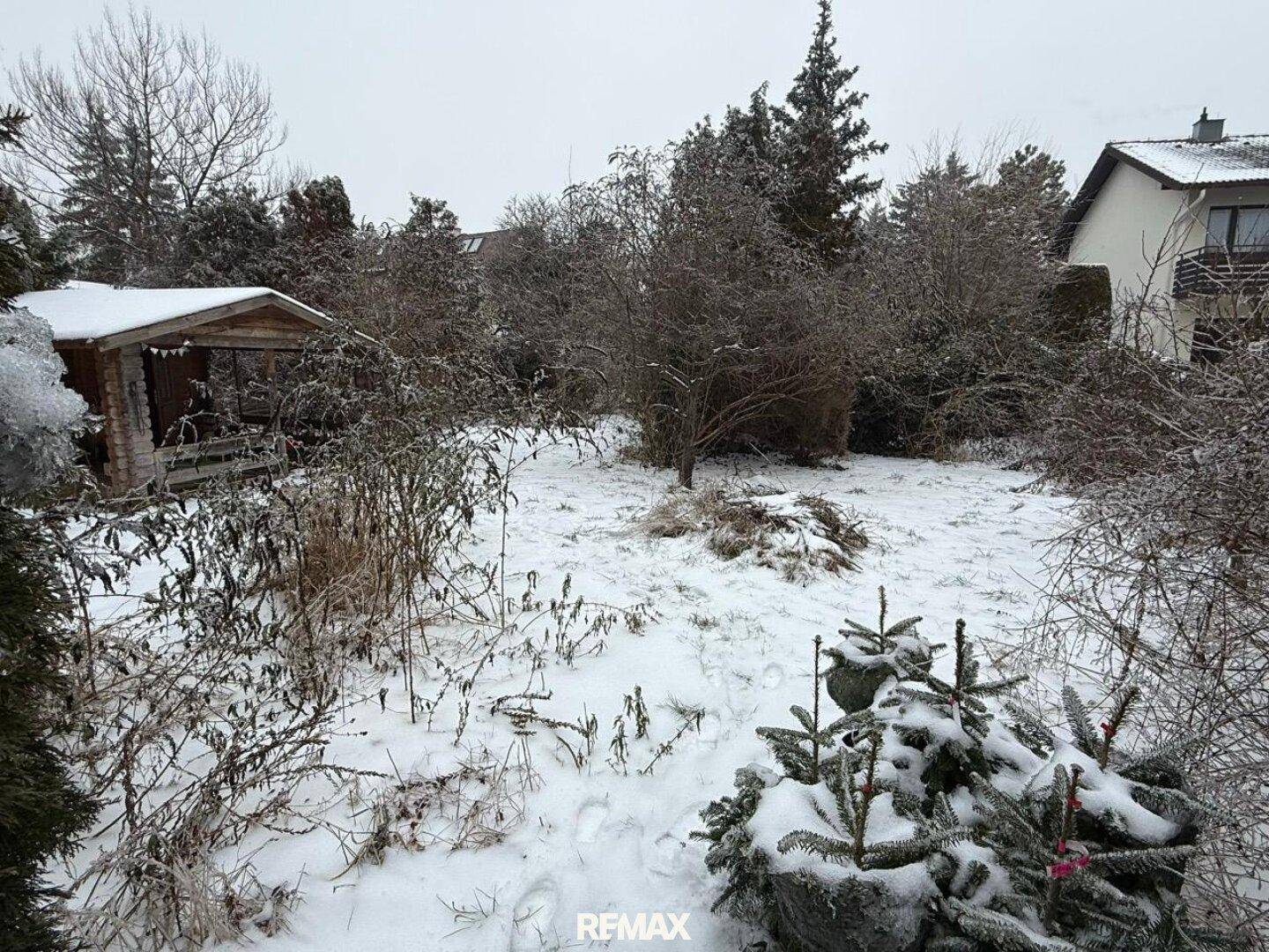 Großer, verschneiter Garten mit Bäumen, Sträuchern und einem Gartenhaus.