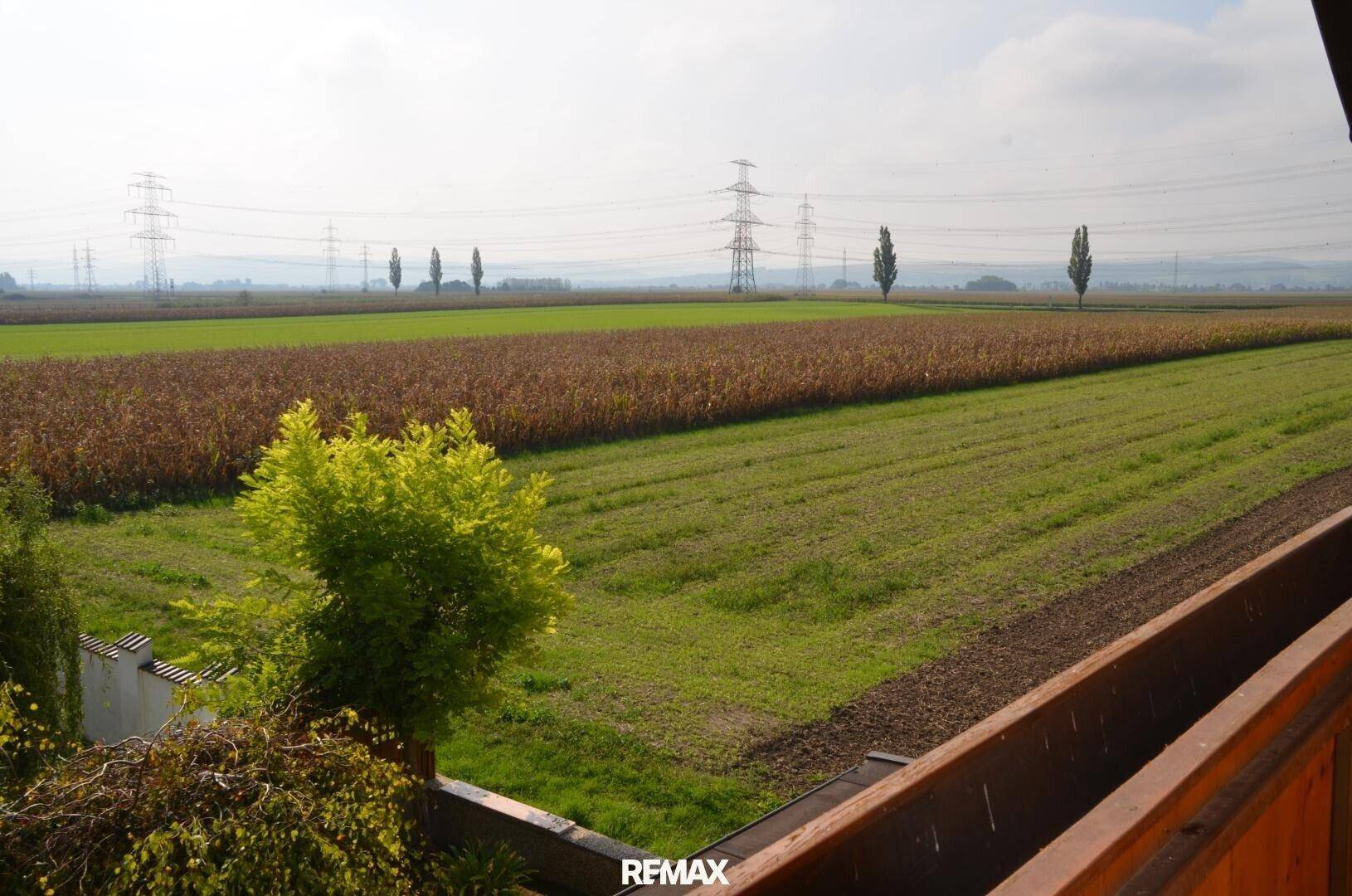 Weitläufiger Blick über Felder und ländliche Landschaft mit Strommasten am Horizont.
