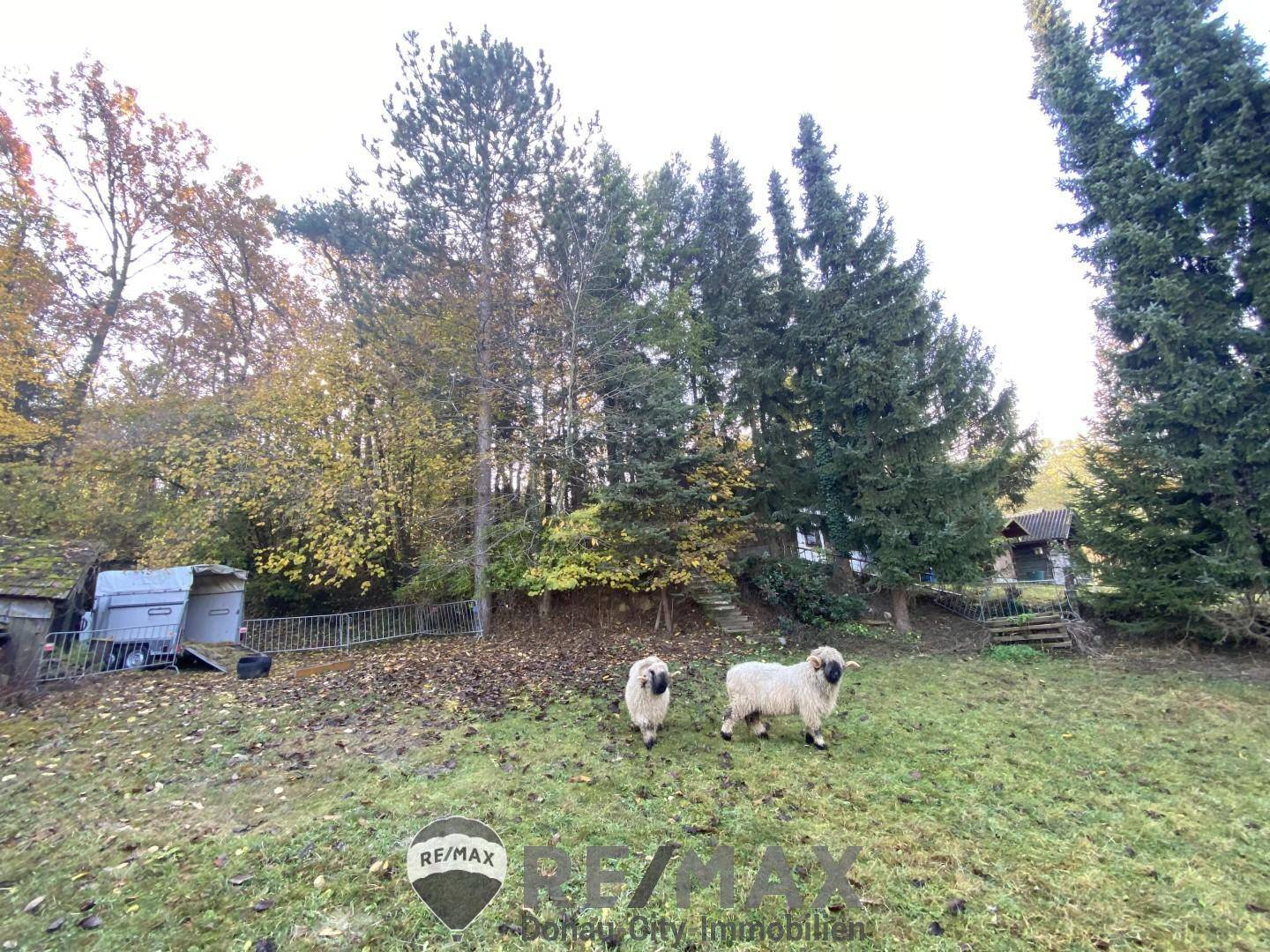 "Jahrhundertwende Stilhaus mit Wald" - Vista 3