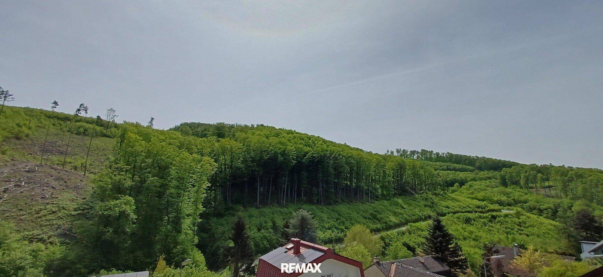 Weitläufiger Blick auf bewaldete Hügel und grüne Landschaft unter klarem Himmel.