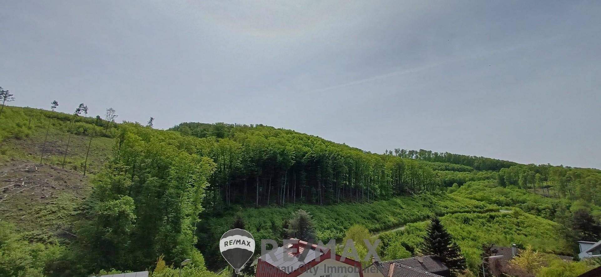 Wo Natur auf Zuhause trifft - Ihr neues Haus am Stadtrand Wiens – pohled 2